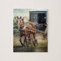 Amish Horse e Buggy