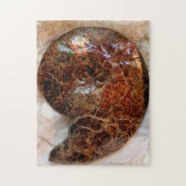 Quebra-cabeça Ammonite ammolita