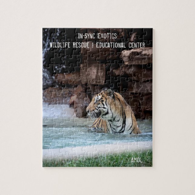 Quebra-cabeça Amol - (Vertical)