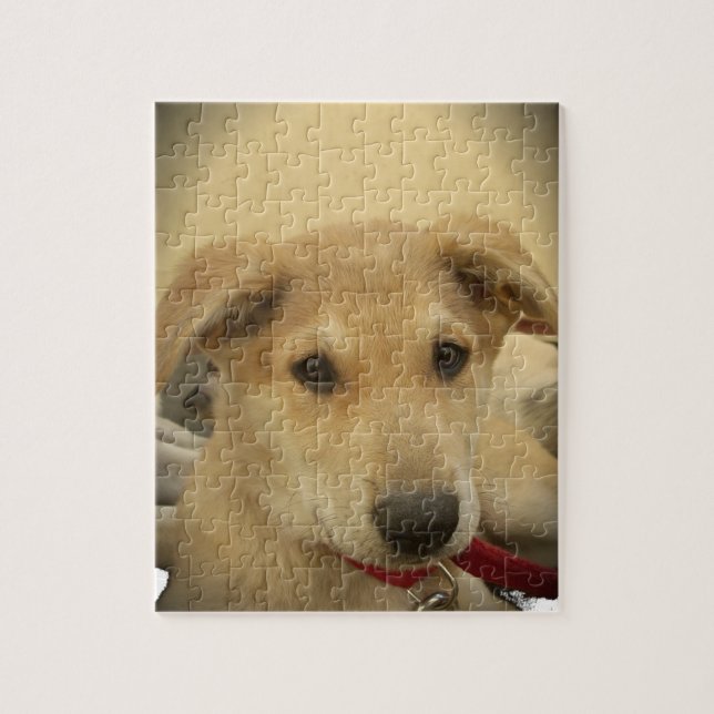 Quebra-cabeça Amor de Cachorrinho: Melhor Amigo do Homem (Vertical)