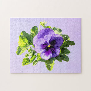 Quebra-cabeça Amor-Perfeito em Duas Tonalidades de Roxo