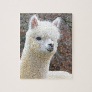 Quebra-cabeça Analise da alpaca