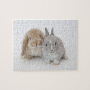 Quebra-cabeça Anão dois Netherland e coelhos de Holland Lop