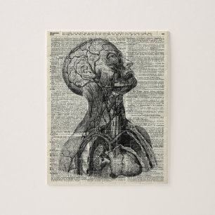 Quebra-cabeça Anatomia humana médica