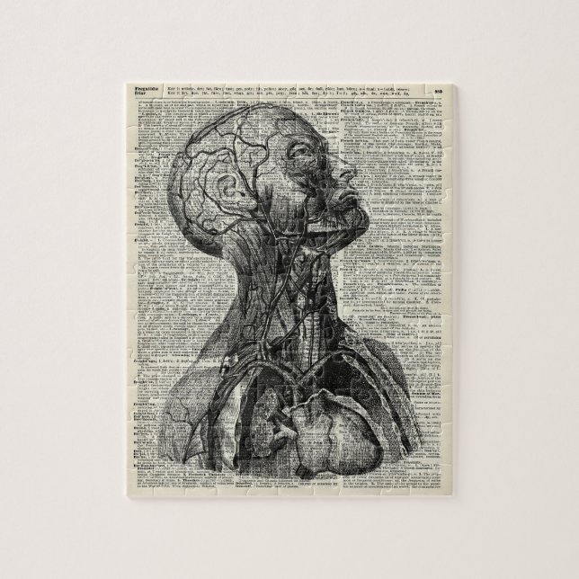 Quebra-cabeça Anatomia humana médica (Vertical)