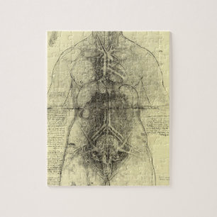 Quebra-cabeça Anatomia humana, Mulher Torso por Leonardo da Vinc