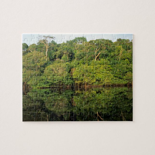 Quebra-cabeça Anavilhanas, Amazonas, Brasil. Rio da floresta tro (Horizontal)