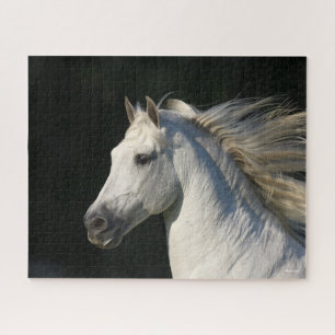 Quebra-cabeça Andaluciano Stallion Headshot Mane Fluindo