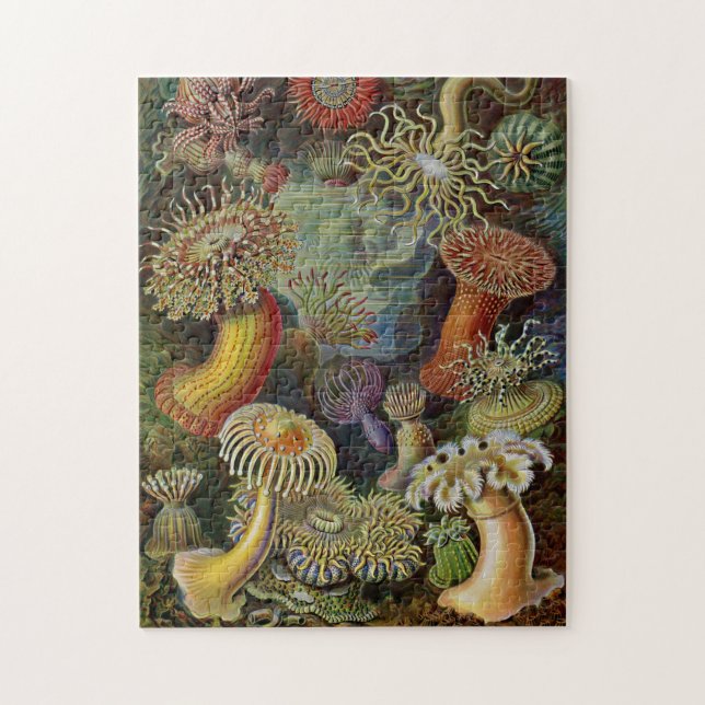 Quebra-cabeça Anêmonas de mar de Ernst Haeckel (Vertical)
