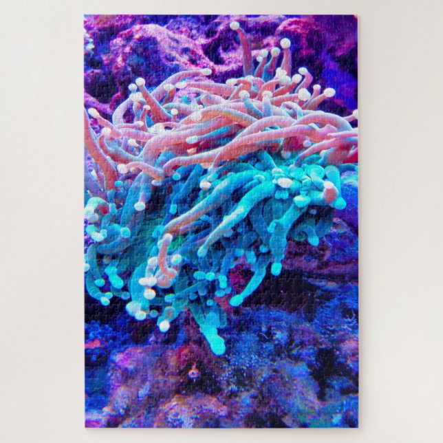 Quebra-cabeça Anêmonas-do-mar (Vertical)