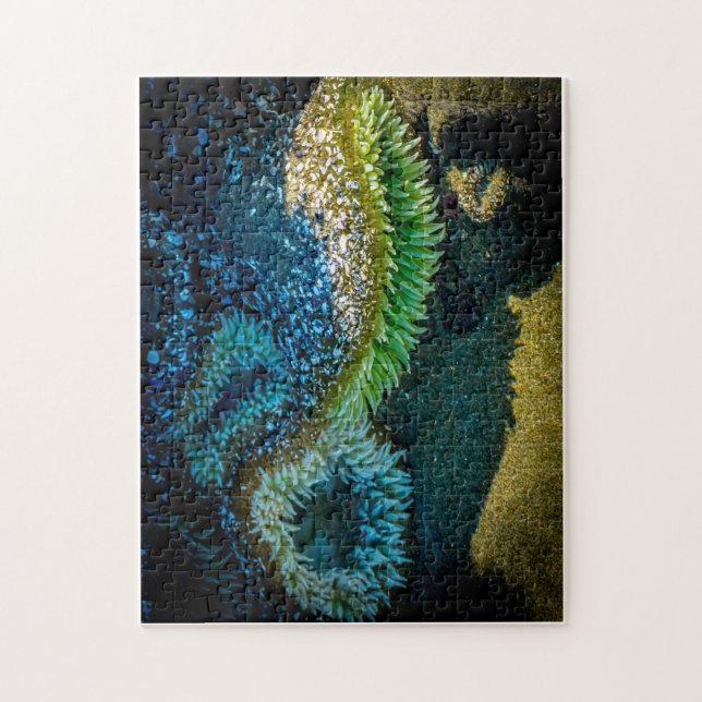 Quebra-cabeça Anêmonas do mar na Baía de Cox, Tofino, BC (Canadá (Vertical)