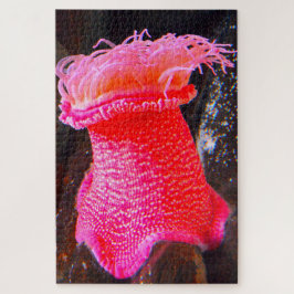 Quebra-cabeça Anemônias marítimas