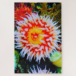 Quebra-cabeça Anemônias marítimas