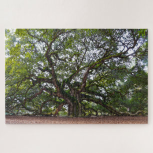 Quebra-cabeça Angel Oak, Carolina do Sul
