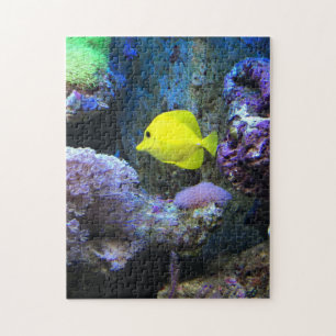 Quebra-cabeça Angelfish Amarelo