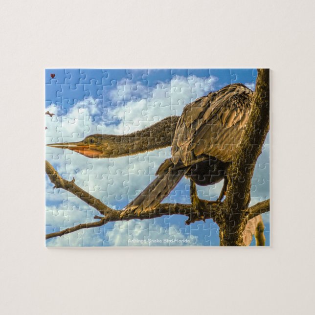 Quebra-cabeça Anhinga Pássaro Cobra Flórida (Horizontal)