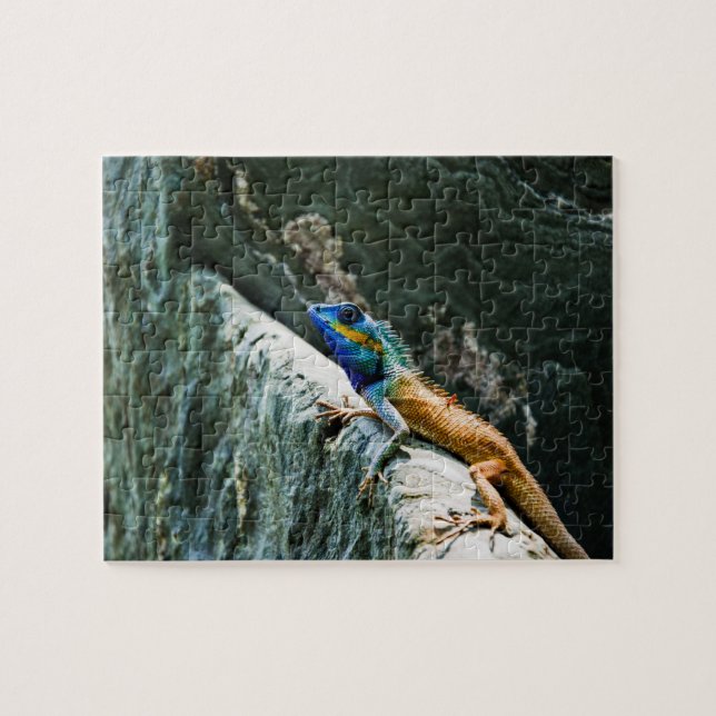 quebra-cabeça animais (Horizontal)