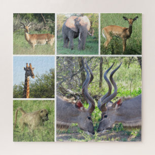 Quebra-cabeça animais africanos