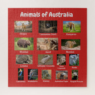 Quebra-cabeça Animais da Austrália
