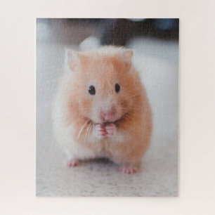 Quebra-cabeça Animais de amores de hamster