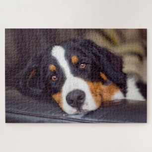 Quebra-cabeça Animais de estimação difíceis 20" x 30"