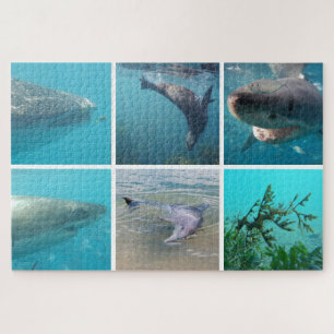 Quebra-cabeça Animais do Oceano Subaquático, 1014 pedaços