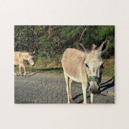 Quebra-cabeça Animais Macacos-Macacos-Marrons Brincam