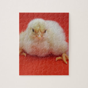 Quebra-cabeça animal adorável pintinho frango pena vermelho fofo
