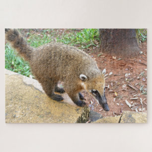 Quebra-cabeça animal da América do Sul, Argentina