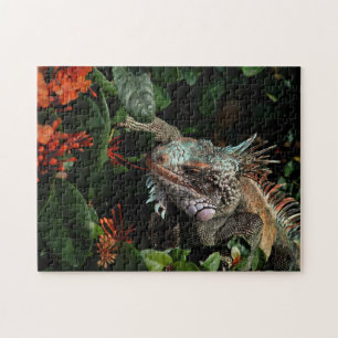 Quebra-cabeça Animal Iguana - Poeta de réptil exótica Pet Lizar