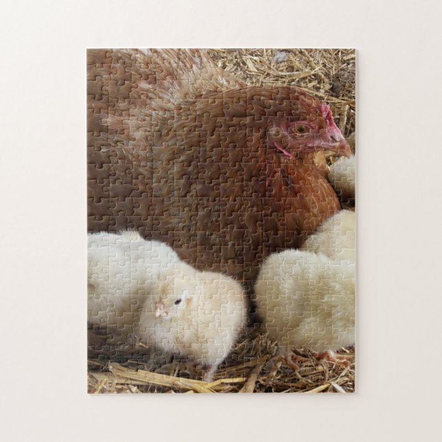 Quebra-cabeça animal, pintinho, frango, fazenda, fofo, ave, bebê (Vertical)