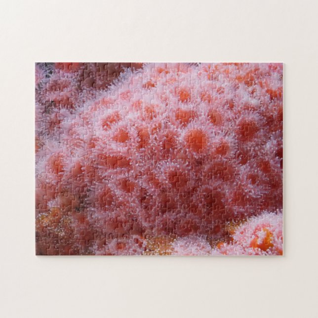 Quebra-cabeça Anônimo do Mar, Pink Pastel (Horizontal)