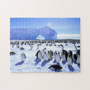 Quebra-cabeça Antártica, Península Antártica, Mar de Weddell 5