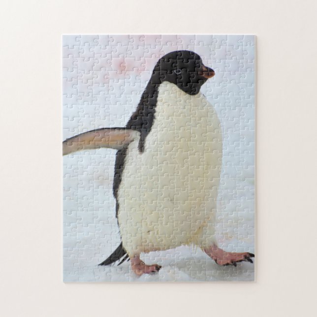 Quebra-cabeça Antártida. Ilha Petermann. Pinguim Adelie (Vertical)