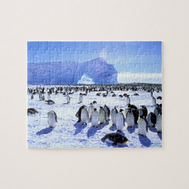 Quebra-cabeça Antártida, Península Antártica, Mar de Weddell, 5 (Horizontal)