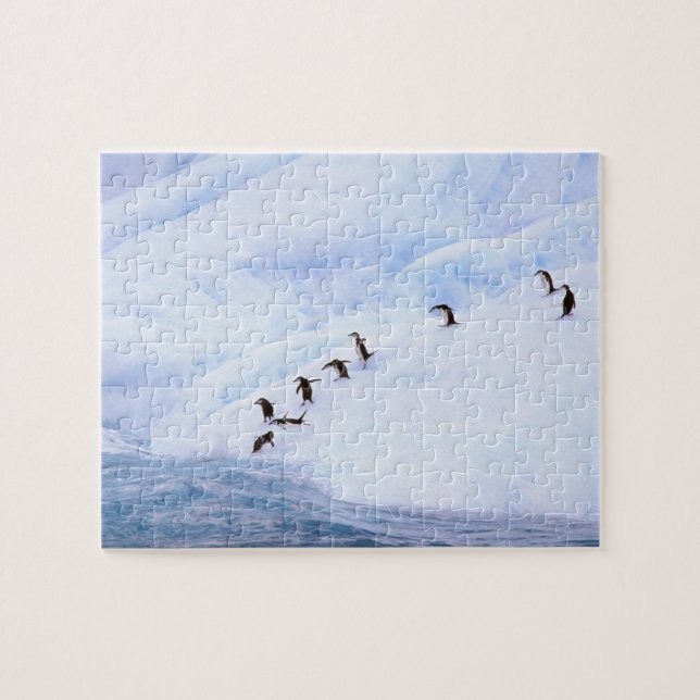 Quebra-cabeça Antártida, Península Antártica. Pinguim-de-barbich (Horizontal)