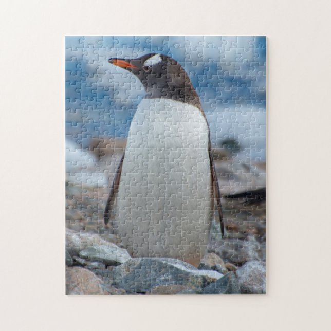 Quebra-cabeça Antártida. Porto Neko. Pinguim-de-gentoo (Vertical)