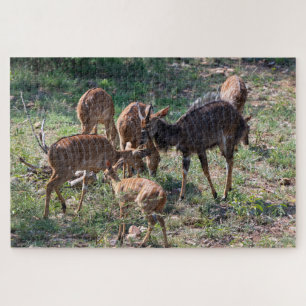 Quebra-cabeça Antílope Calmo – Natureza Africana