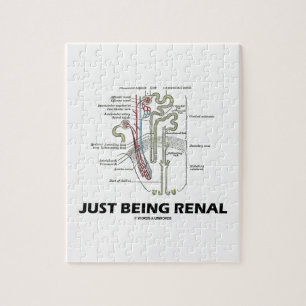 Quebra-cabeça Apenas sendo renal (humor renal de Nephron do rim)