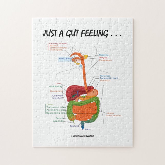Quebra-cabeça Apenas um sentimento de intestino… (sistema (Vertical)