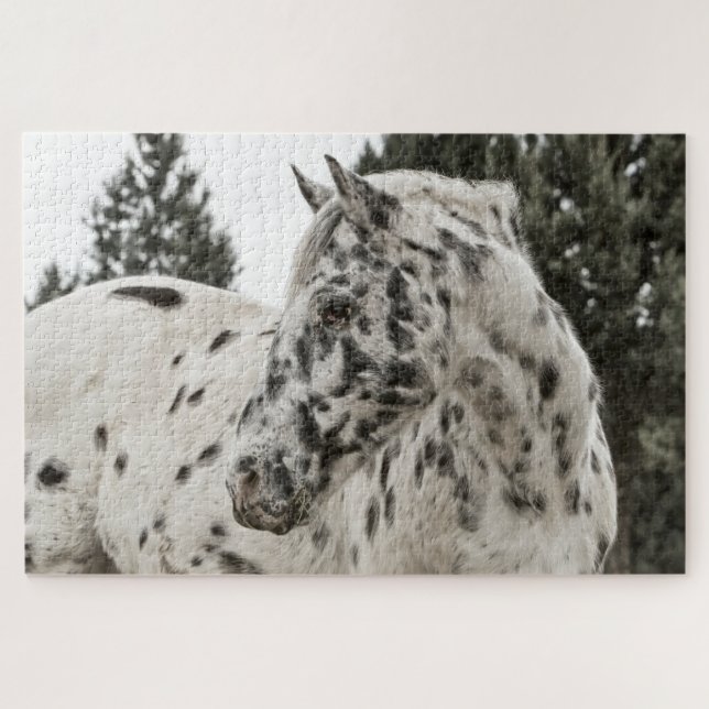 Quebra-cabeça Appaloosa (Horizontal)