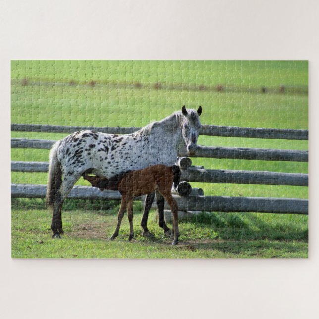 Quebra-cabeça Appaloosa Mare e Colt Horse (Horizontal)