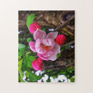 QUEBRA-CABEÇA APPLE BLOSSOM