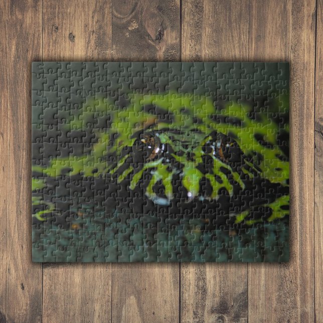 Quebra-cabeça Aproximação do Toad Belied (Fire Bellied Toad Closeup Jigsaw Puzzle)