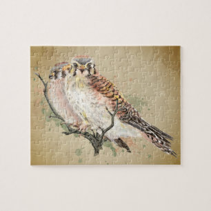 Quebra-cabeça Aquarela Kestrel Falcon Willife Bird Art
