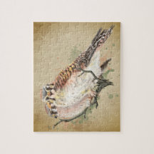 Aquarela Kestrel Falcon Willife Bird Art