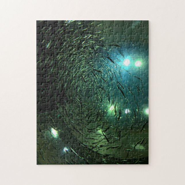 Quebra-cabeça Aquário de Toronto, Canadá. (Vertical)