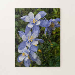 Quebra-cabeça Aquilegia Azul do Colorado perto de Telluride Colo