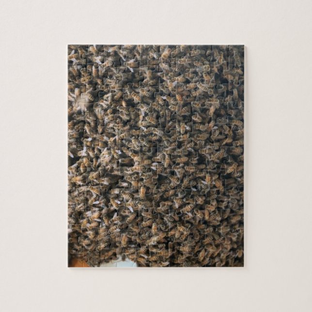 Quebra-cabeça Arame (Vertical)