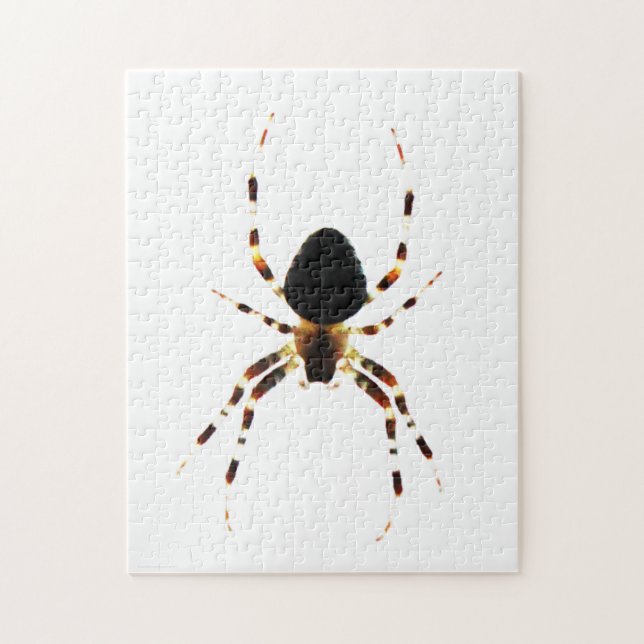 Quebra-cabeça Aranha 11x14 252pc jpm (Vertical)